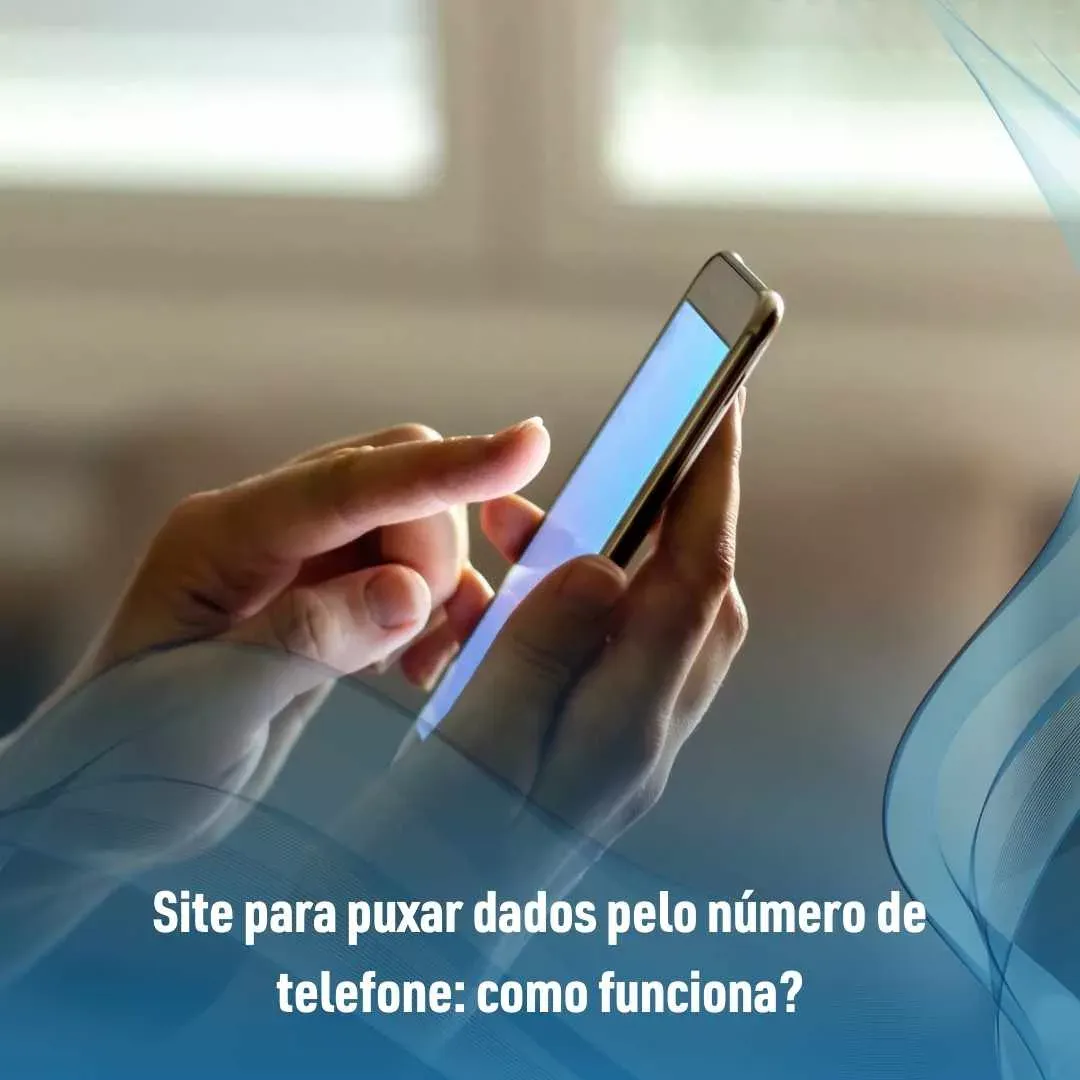 Puxar Dados: Como Funcionam os Sites de Consulta pelo Telefone