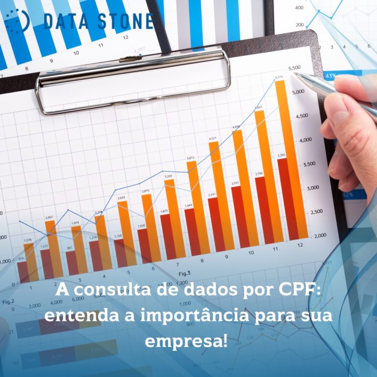 A consulta de dados por CPF: entenda a importância para sua empresa!