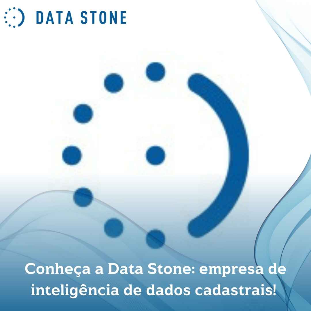 Conheça a Data Stone empresa de inteligência de dados cadastrais!