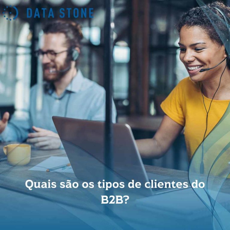 Quais são os tipos de clientes do B2B?