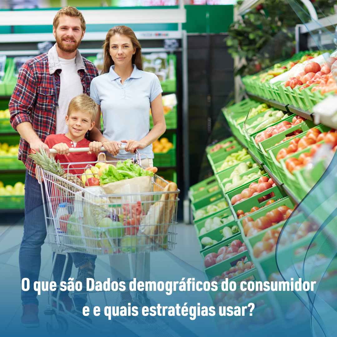 O que são Dados demográficos do consumidor e e quais estratégias usar?