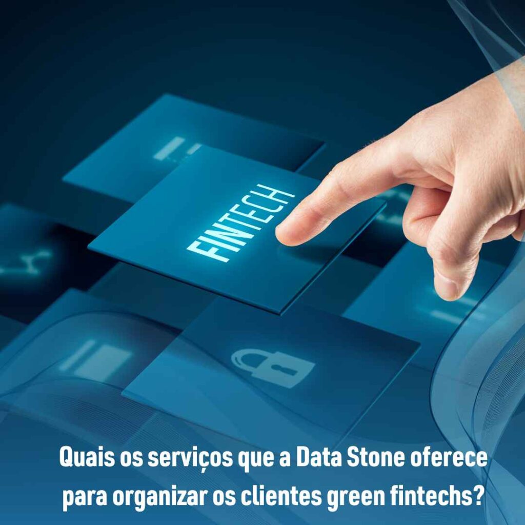 Quais os serviços que a Data Stone oferece para organizar os clientes green fintechs?