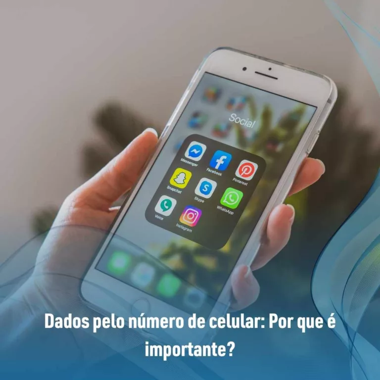 Dados pelo número de celular: Por que é importante?