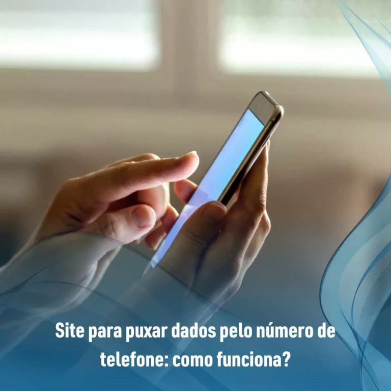 Site para puxar dados pelo número de telefone: como funciona?