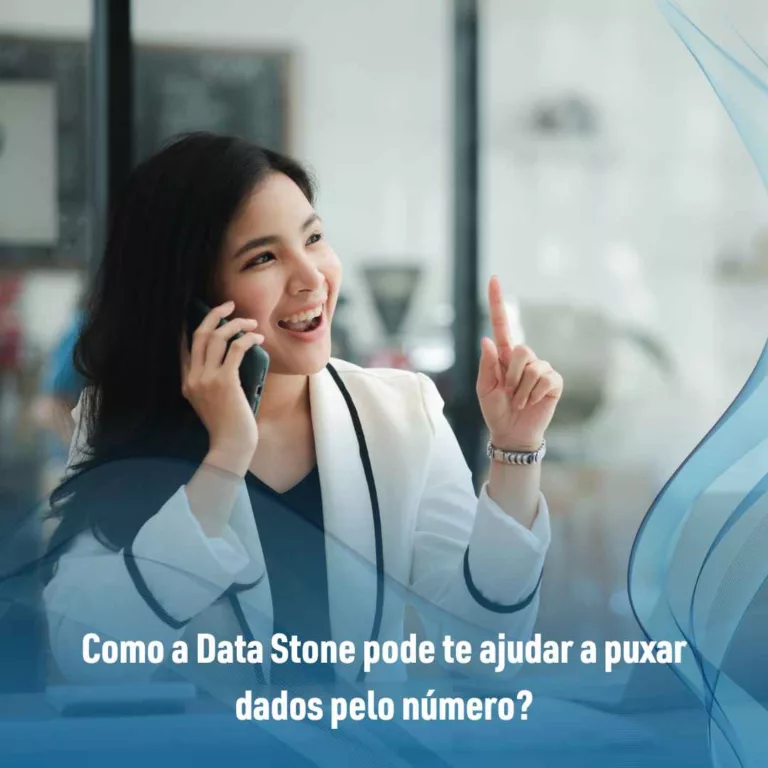 Como a Data Stone pode te ajudar a puxar dados pelo número?