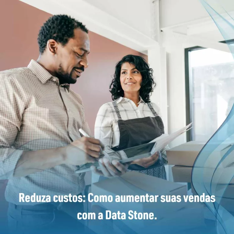 Reduza custos: Como aumentar suas vendas com a Data Stone.