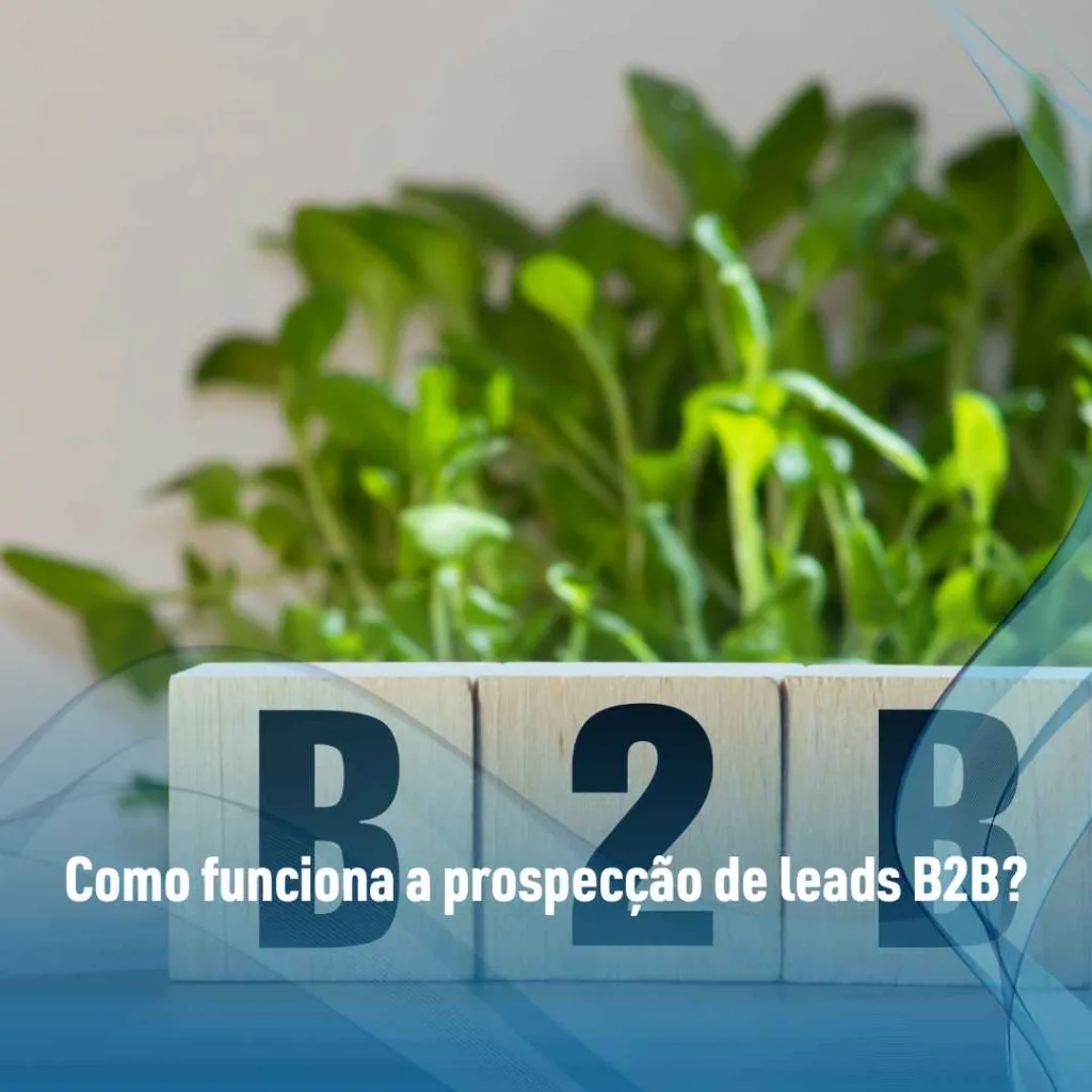 Como funciona a prospecção de leads B2B?