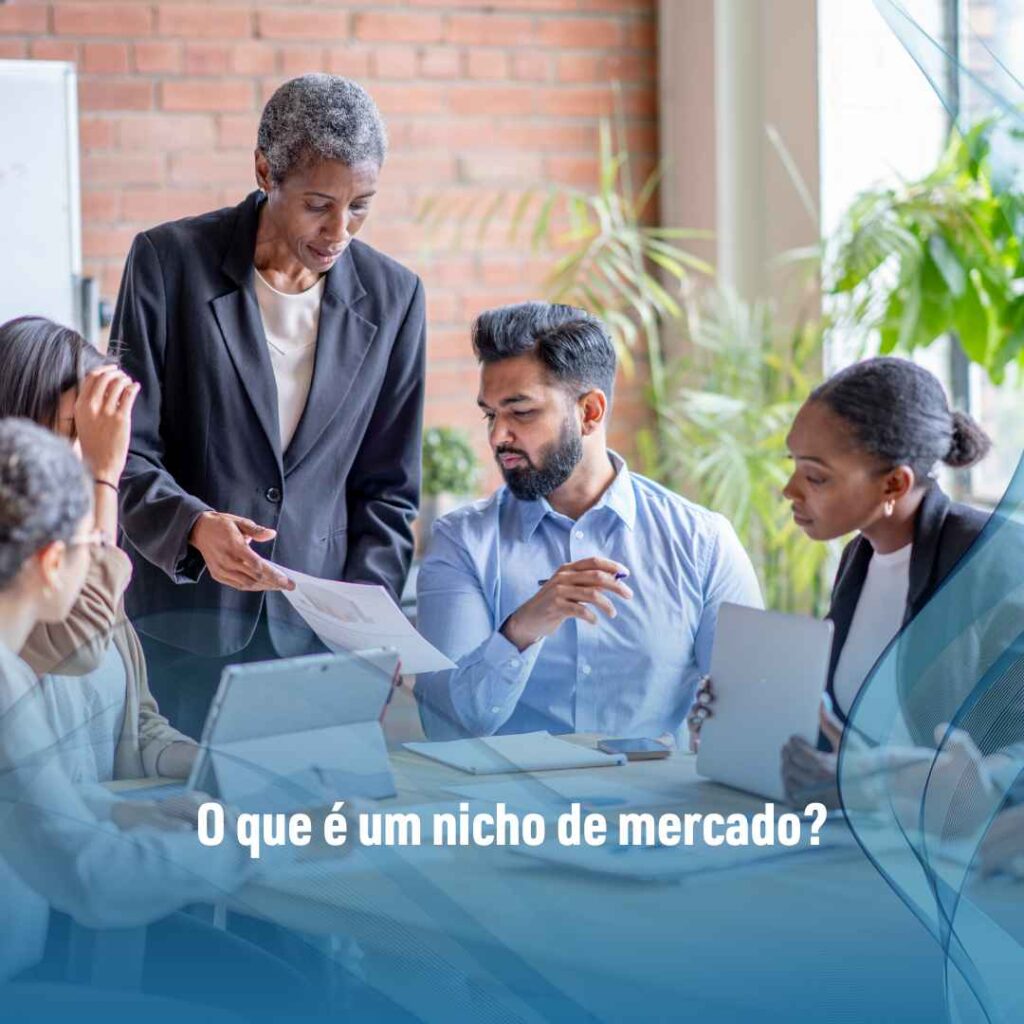 O que é um nicho de mercado?