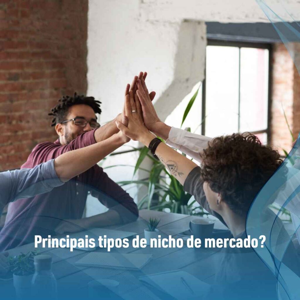 Principais tipos de nicho de mercado?