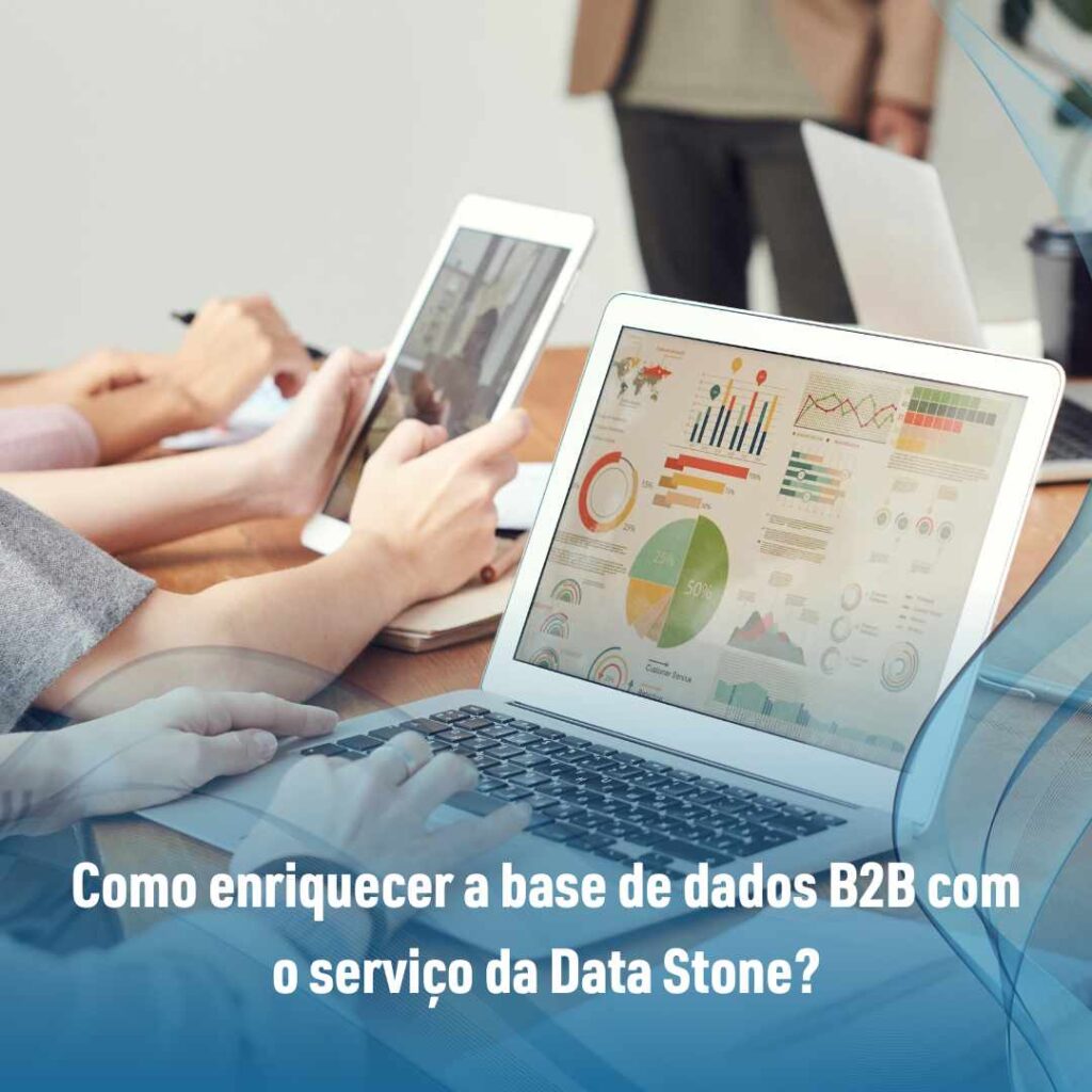 Como enriquecer a base de dados B2B com o serviço da Data Stone