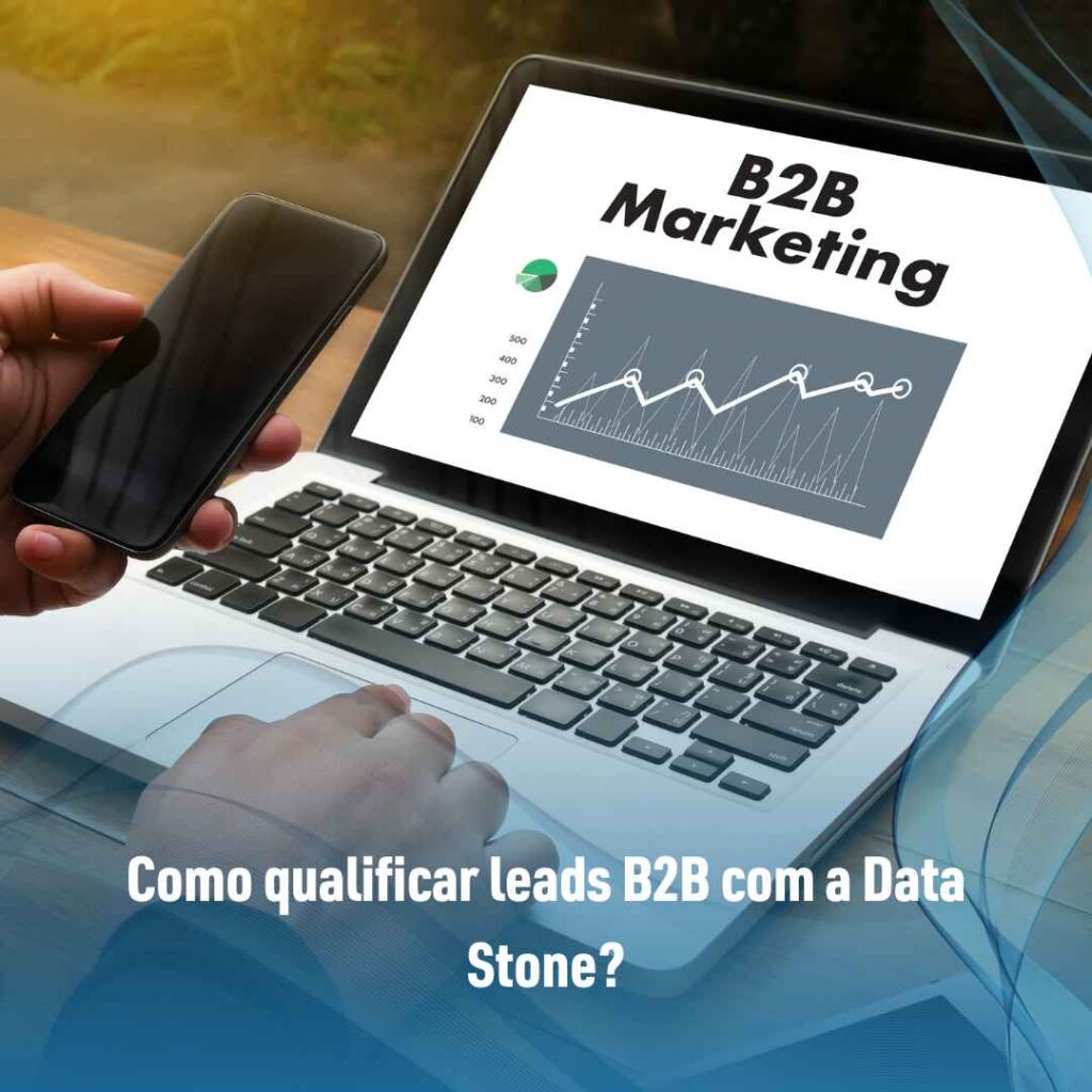 Como qualificar leads B2B com a Data Stone?