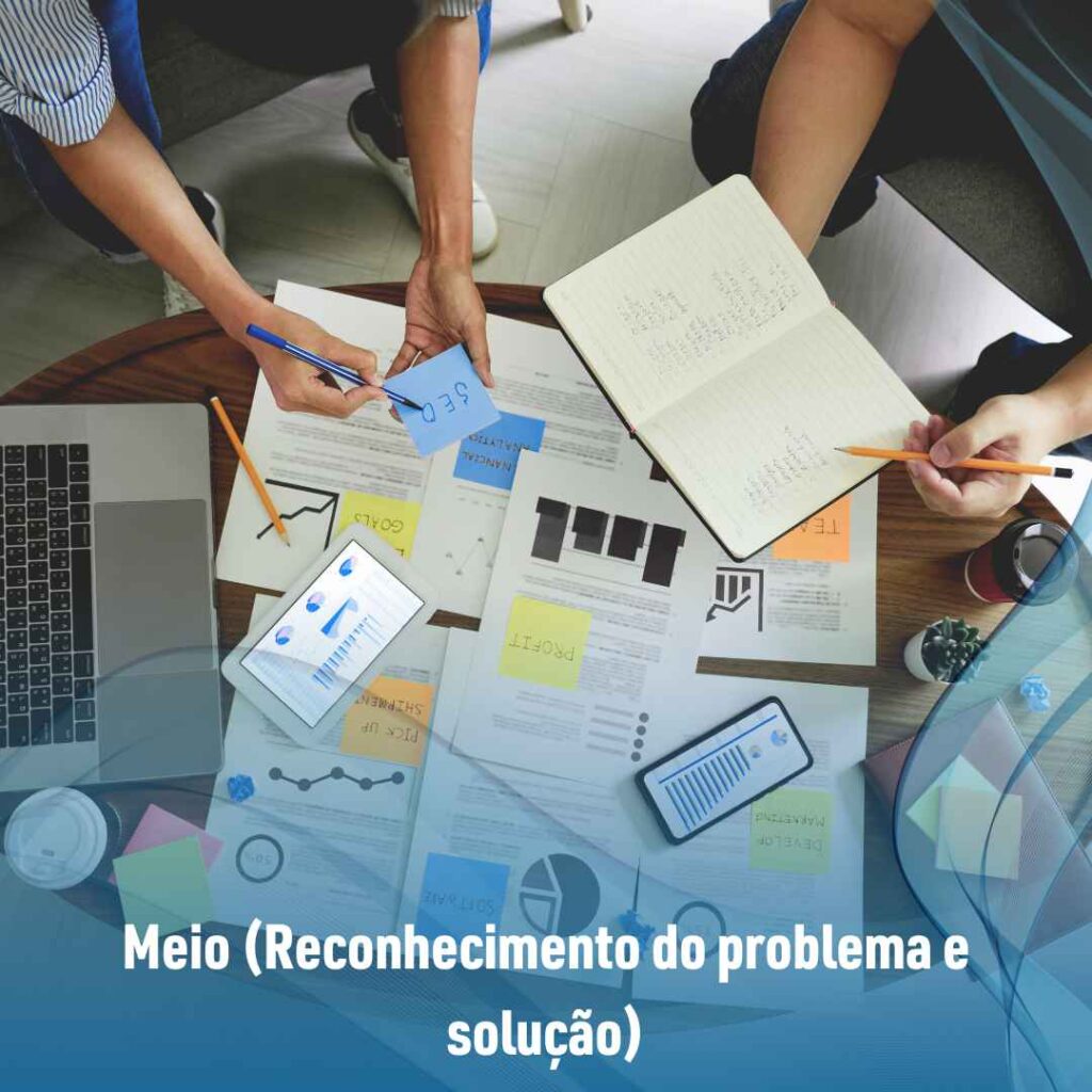 Meio (Reconhecimento do problema e solução)