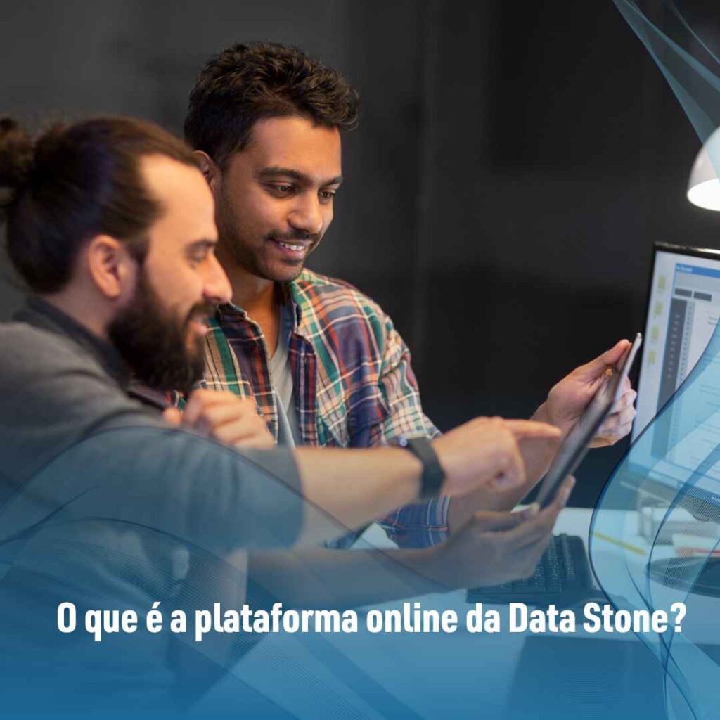 O que é a plataforma online da Data Stone?