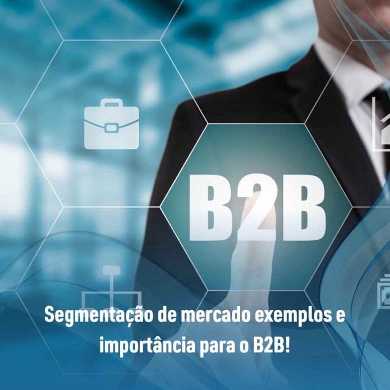 Segmentação de mercado exemplos e importância para o B2B!